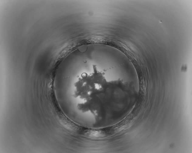 X0000094230507200711021206