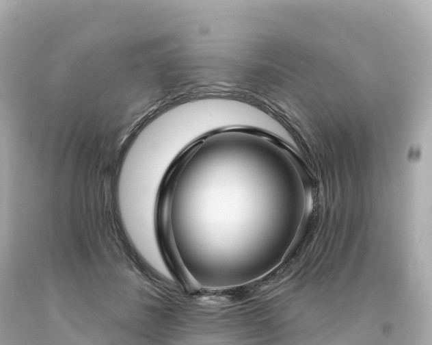 X0000094230508200711021206