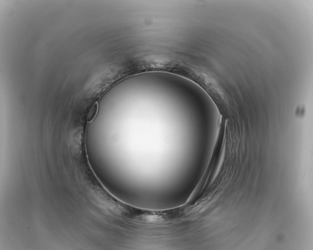 X0000094230509200711021206