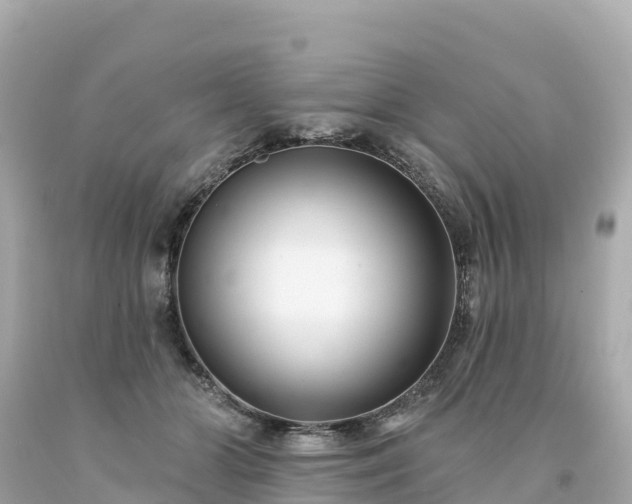 X0000094230510200711021206