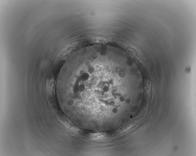 X0000094230511200711021206