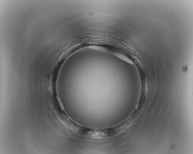 X0000094230512200711021206