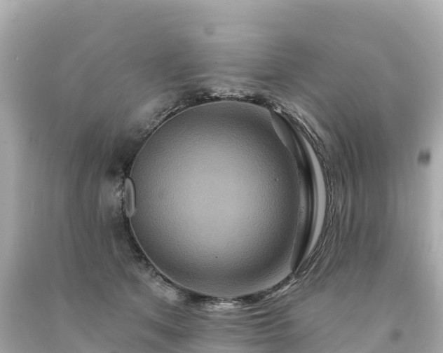 X0000094230513200711021206