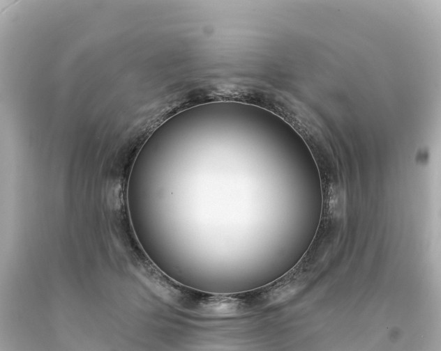 X0000094230514200711021206