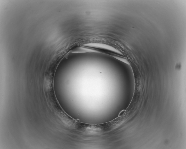 X0000094230515200711021206