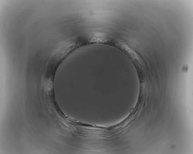 X0000094230517200711021206