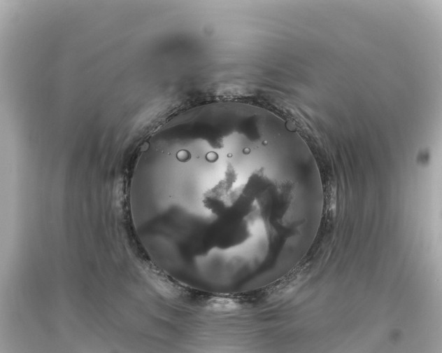 X0000094230519200711021206