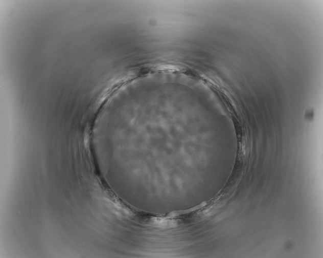 X0000094230520200711021206