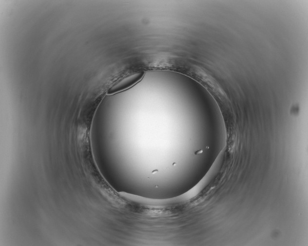 X0000094230521200711021206