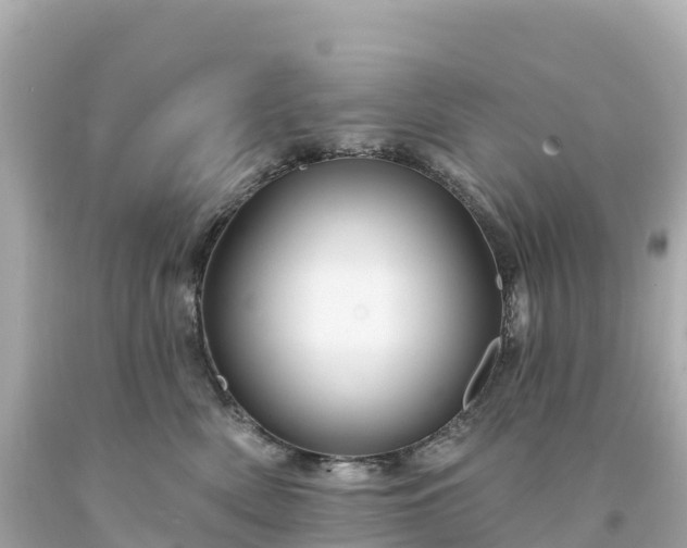 X0000094230522200711021206