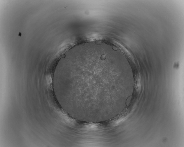 X0000094230523200711021206