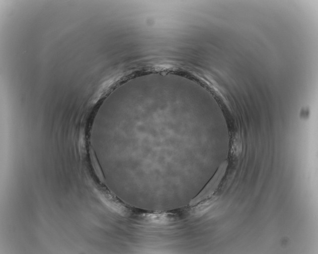 X0000094230524200711021206