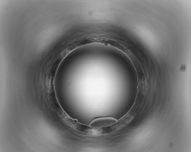 X0000094230525200711021206