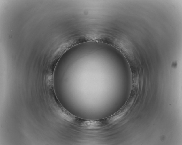 X0000094230526200711021206