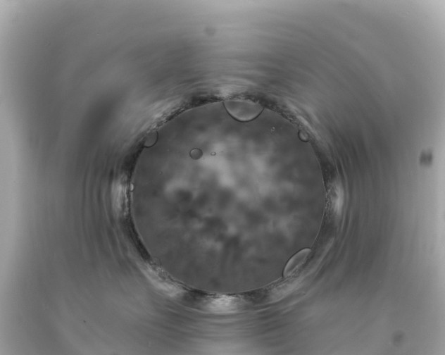 X0000094230527200711021206