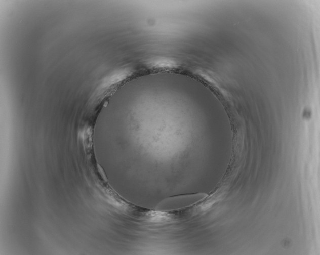 X0000094230528200711021206