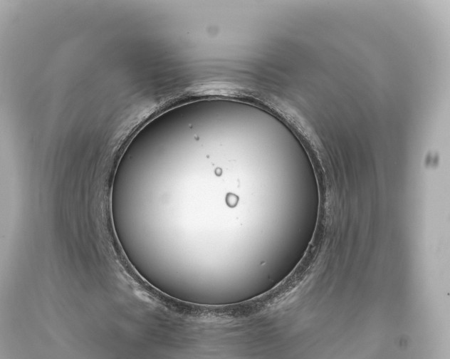 X0000094230529200711021205