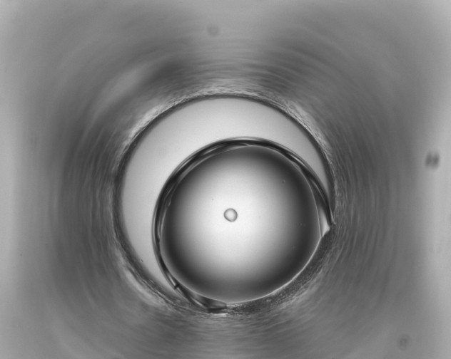 X0000094230530200711021205