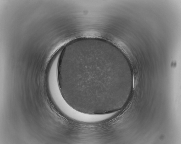 X0000094230531200711021205