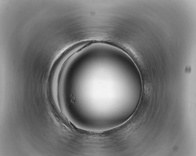 X0000094230532200711021205