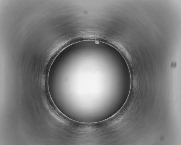 X0000094230533200711021205