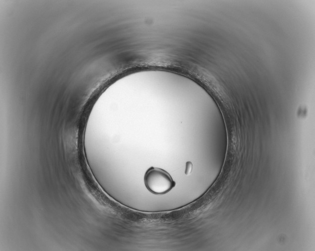 X0000094230534200711021205