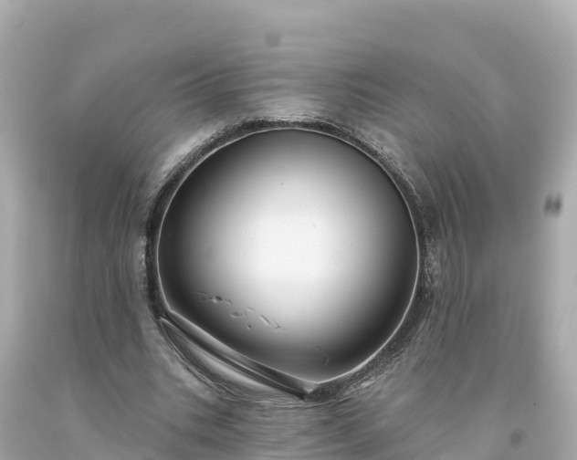 X0000094230535200711021205