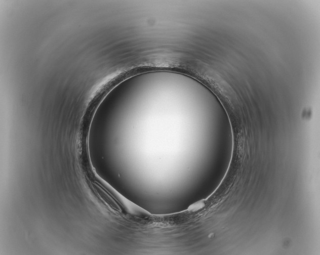 X0000094230536200711021205