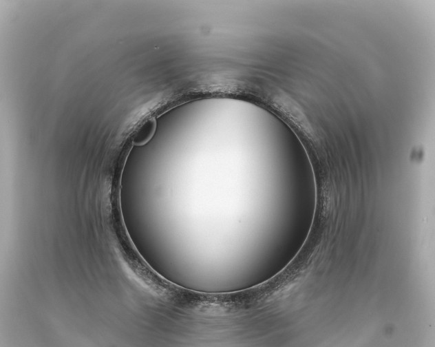 X0000094230538200711021205