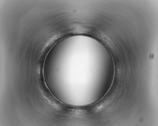 X0000094230539200711021205