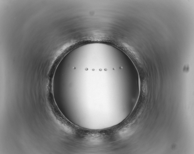 X0000094230540200711021205