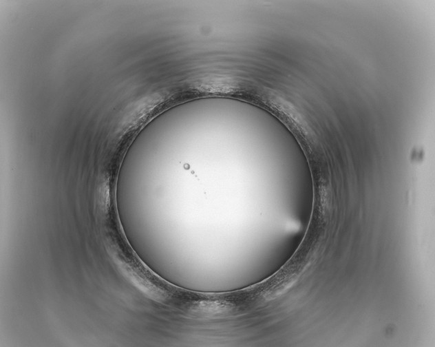 X0000094230541200711021205