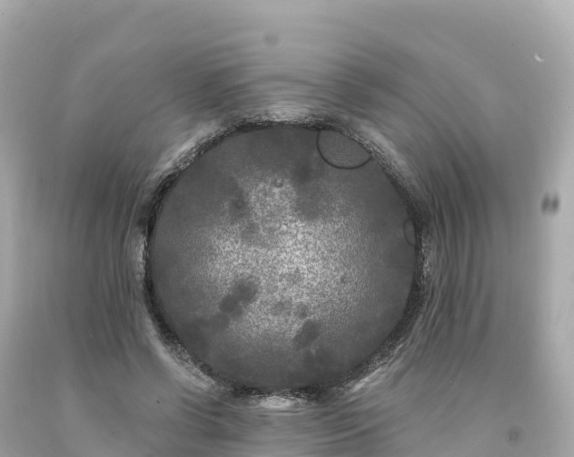 X0000094230542200711021205