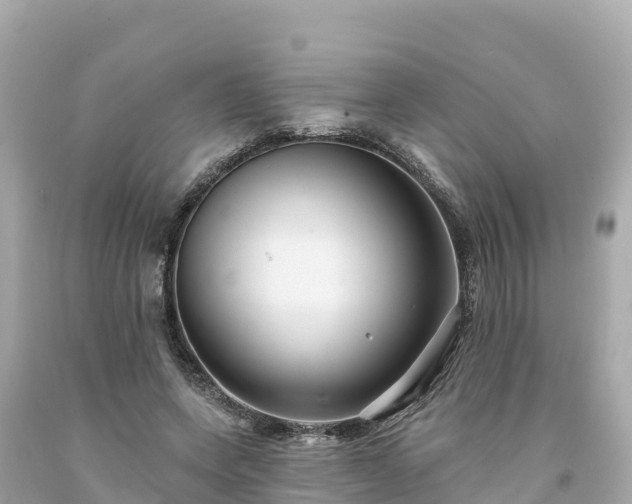 X0000094230543200711021205