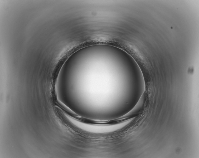 X0000094230544200711021205