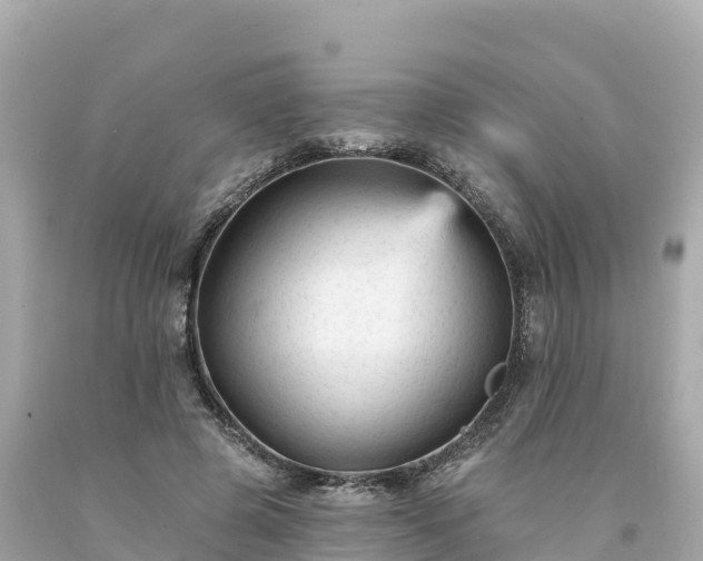 X0000094230545200711021205