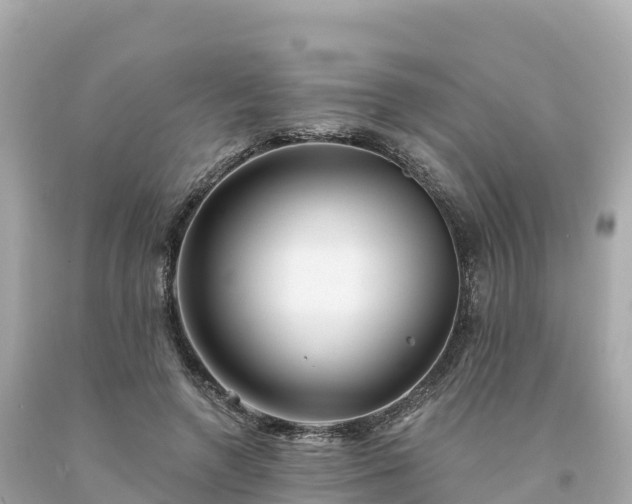 X0000094230546200711021205