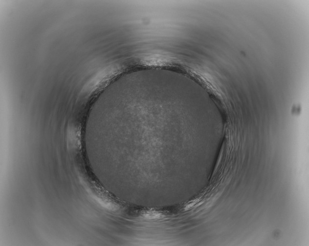 X0000094230547200711021205