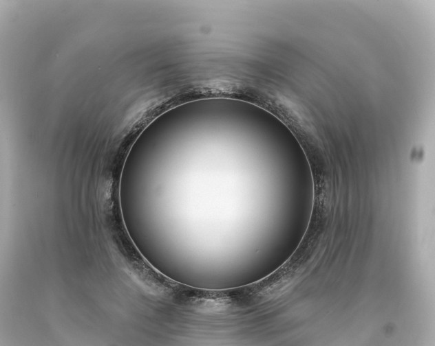 X0000094230548200711021205