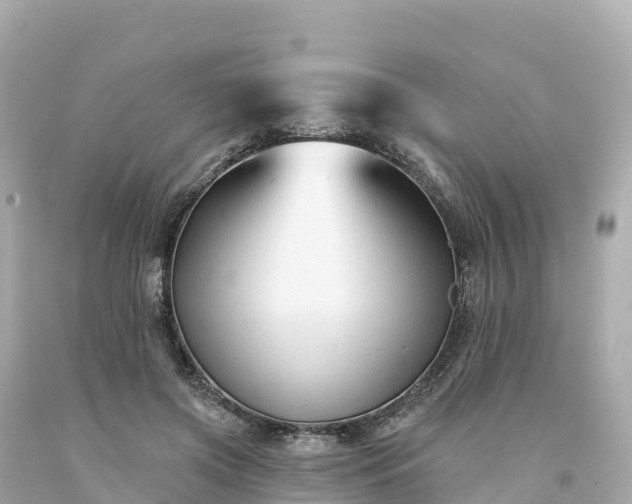 X0000094230549200711021205