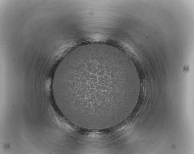 X0000094230550200711021205