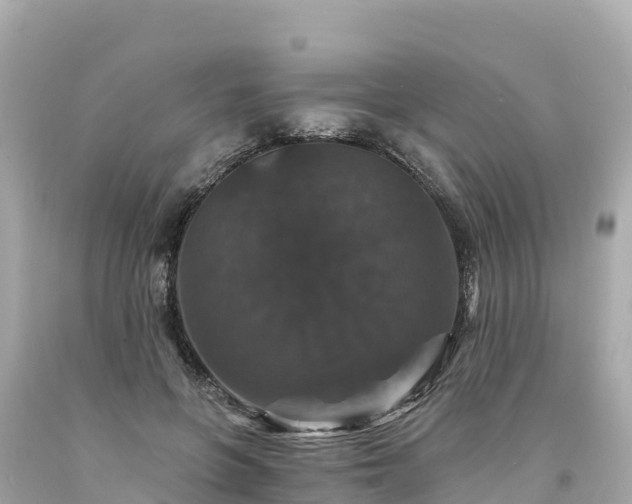 X0000094230551200711021205