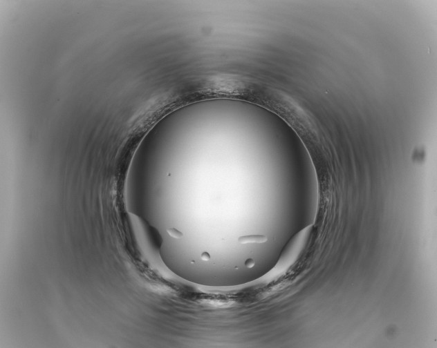 X0000094230552200711021205