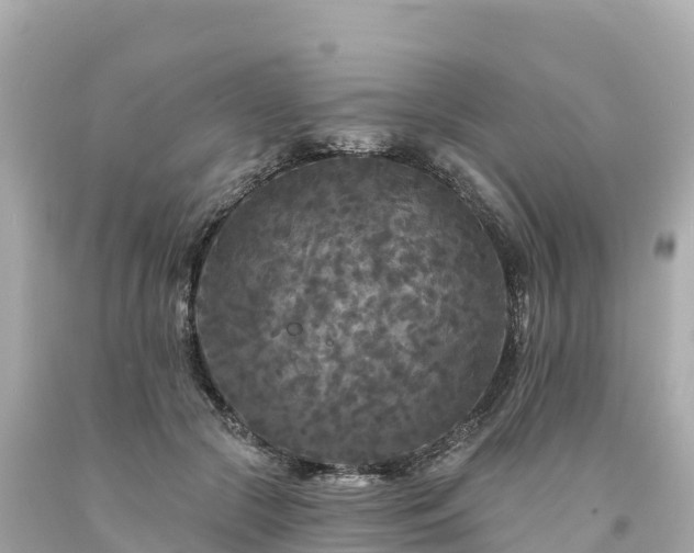 X0000094230553200711021205