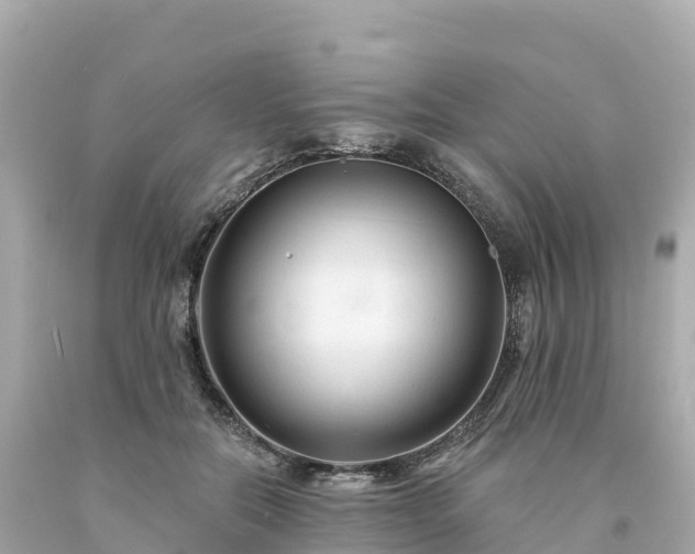 X0000094230554200711021205