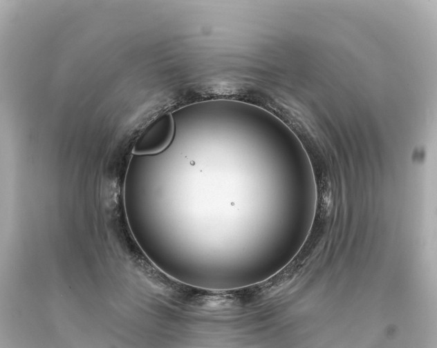 X0000094230555200711021205