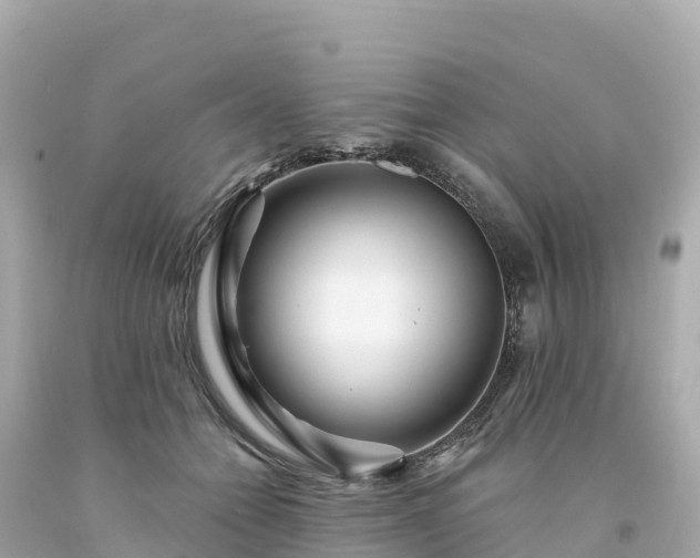 X0000094230558200711021205