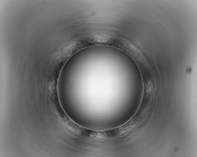 X0000094230559200711021205