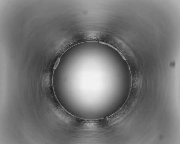 X0000094230560200711021205