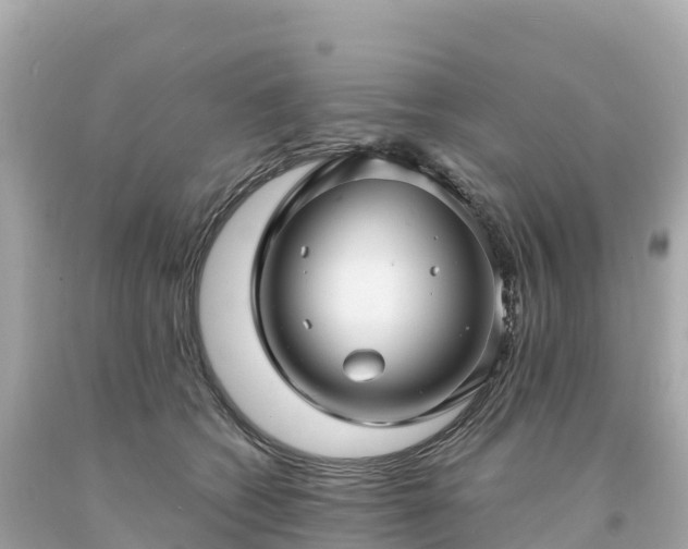 X0000094230562200711021206